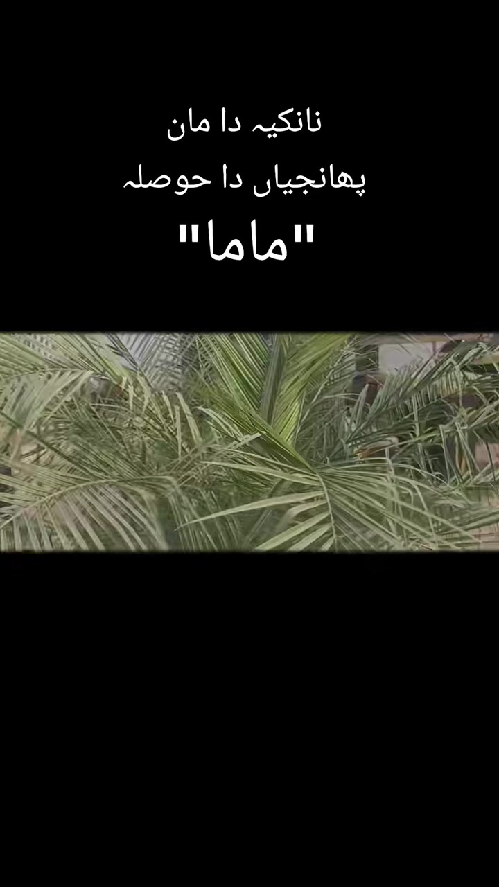 @Bkkang