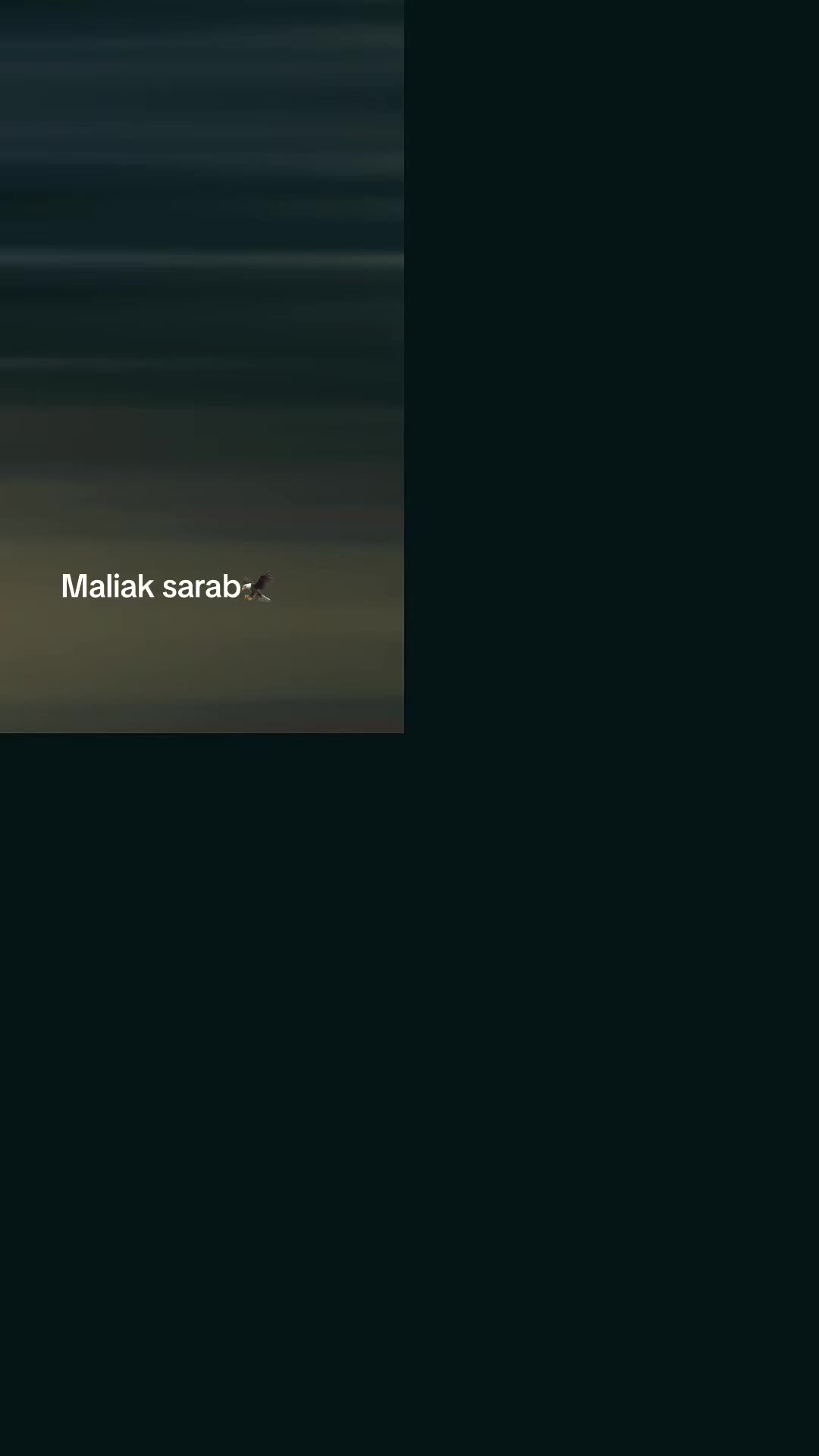 @🪬Malika sarab🐆
