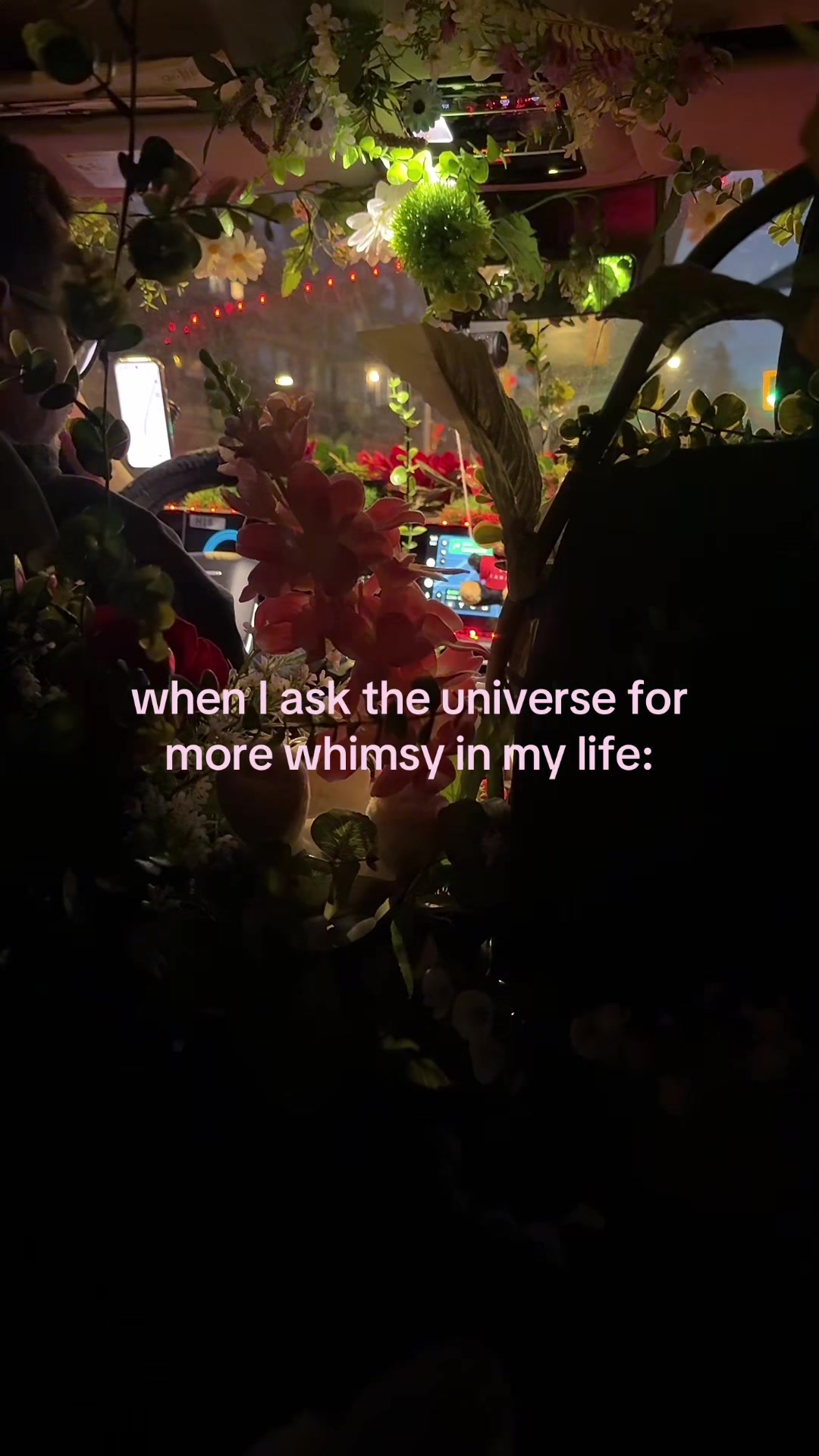 @Zy