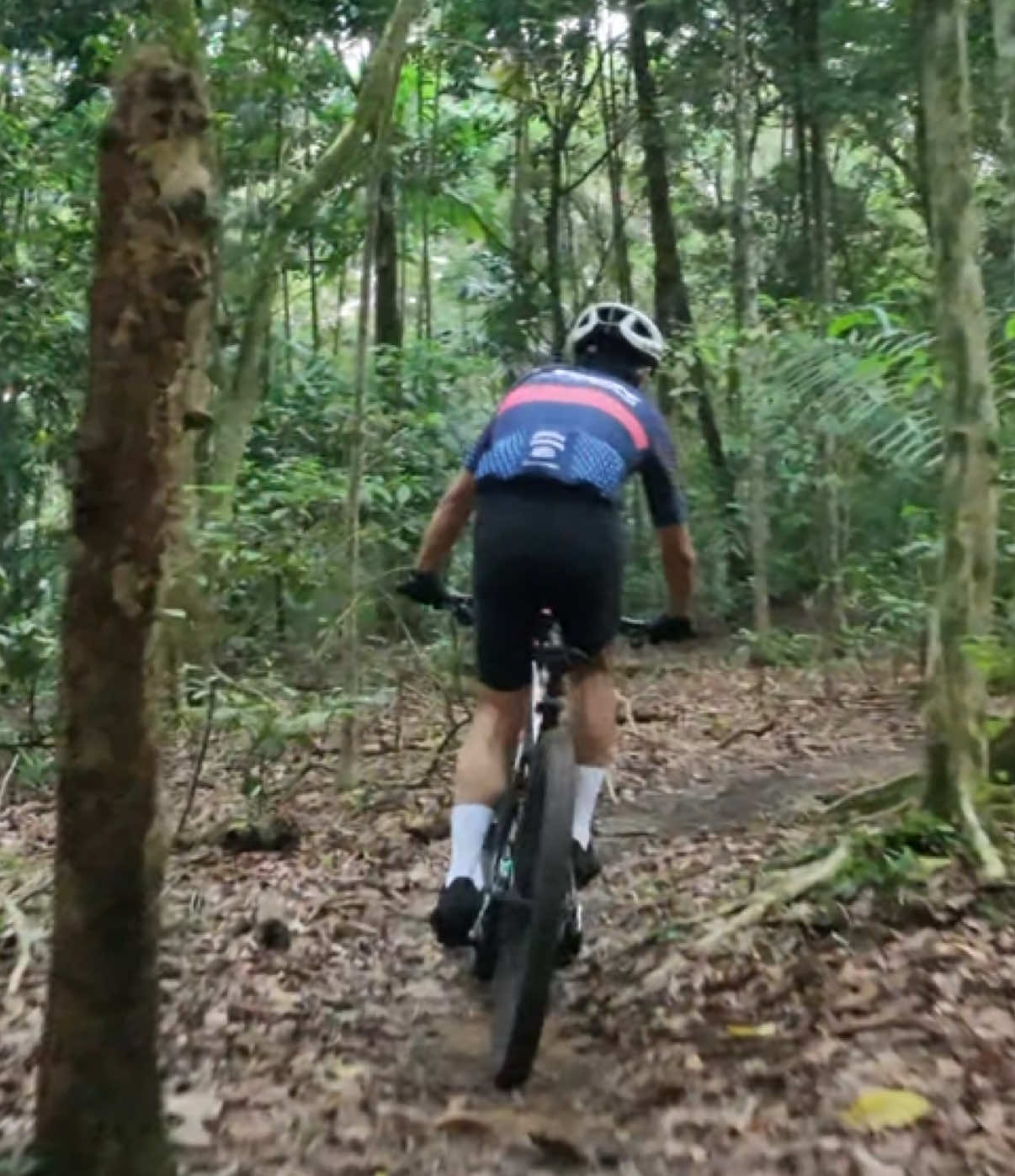 @Chestnut rider