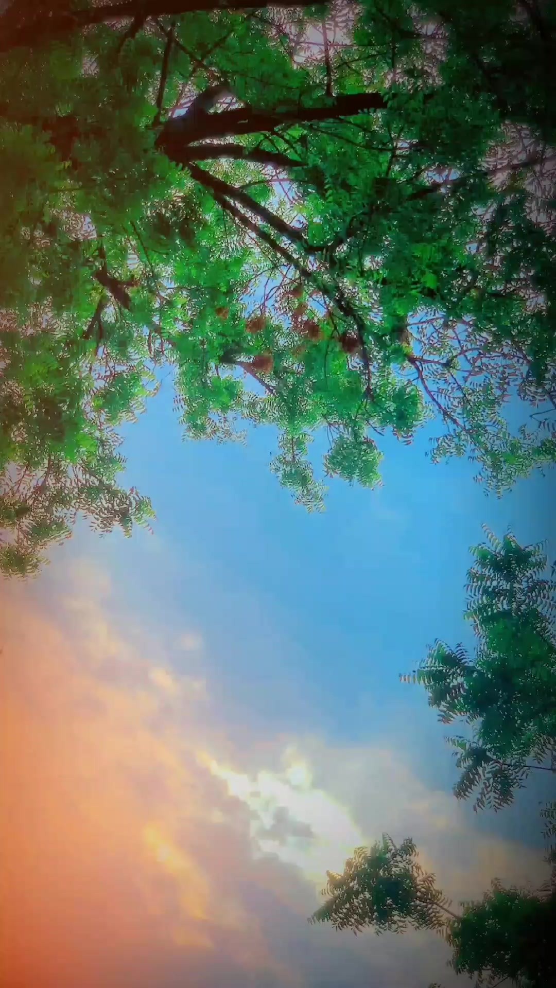 @{<𝙅𝘼𝙄𝙎𝙃.◉‿◉𝙇𝘼𝙉𝙂𝙃𝘼>}