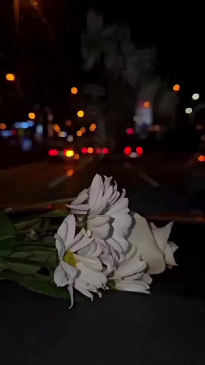 @𝘾𝘼𝙋𝙏𝘼𝙄𝙉 🚩