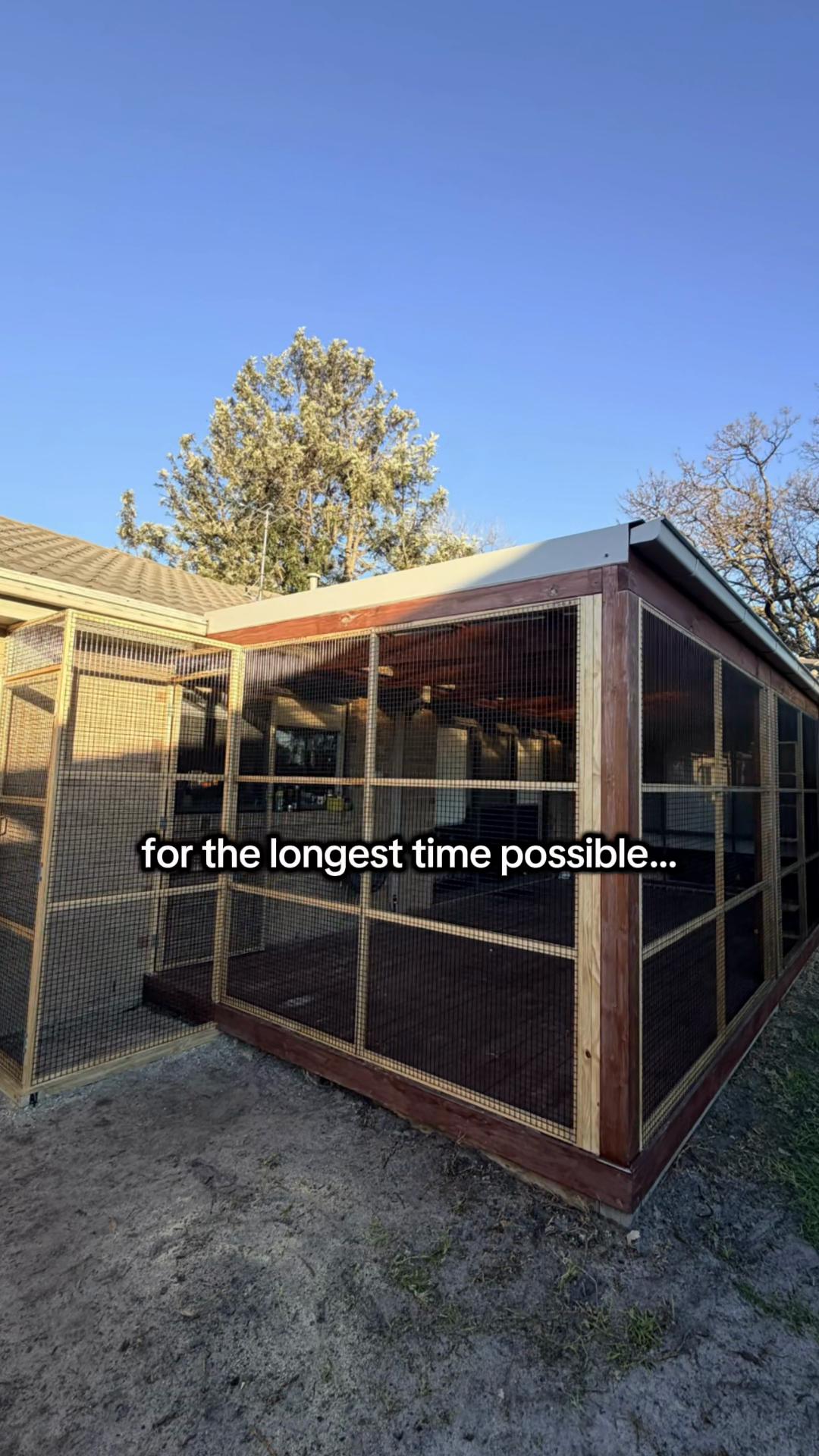 @Backyard Catio Builder