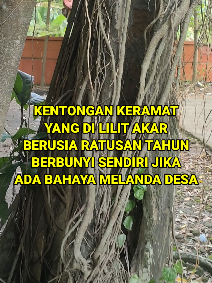 @NGLAMBOR JAGAD