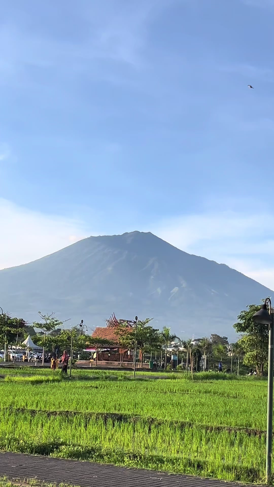 @CrfWavin