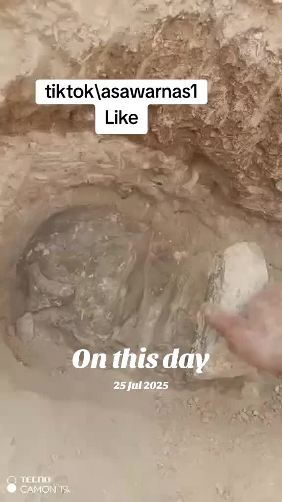 @AsawarNas