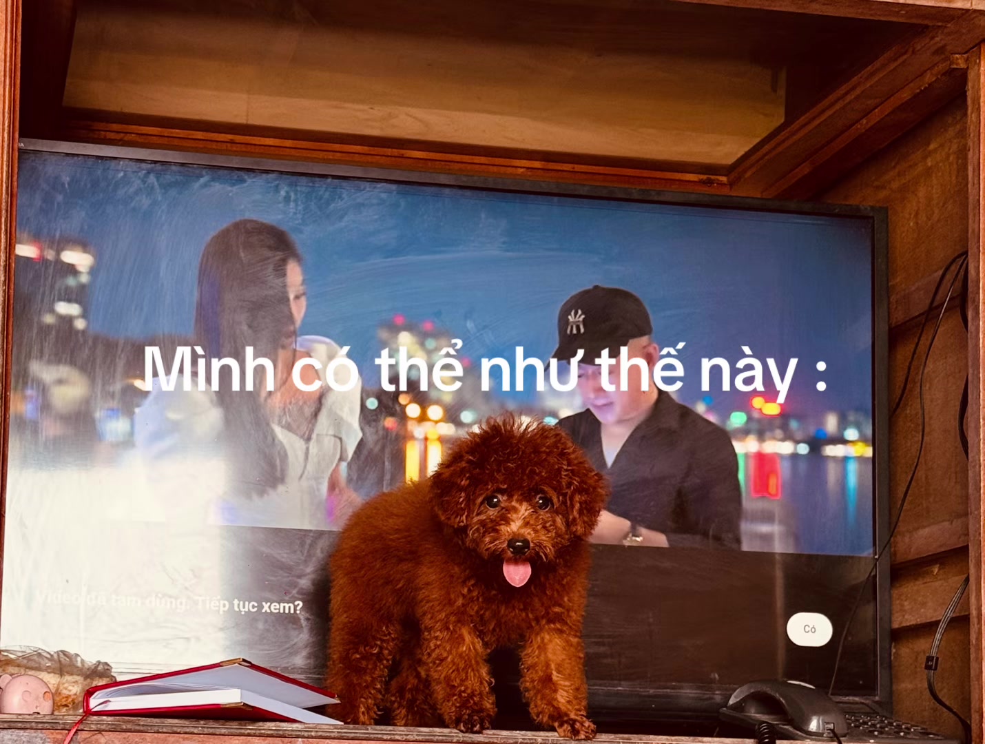 @Bông🐹