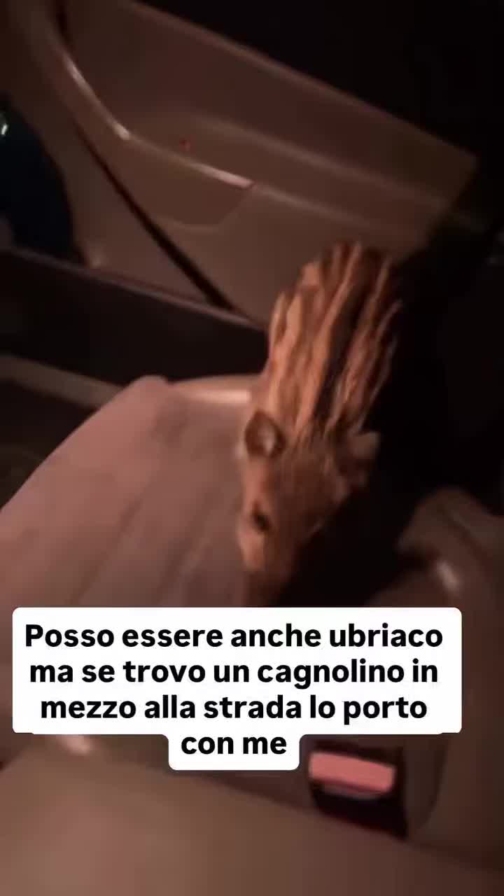 @Marco Bianchi7765