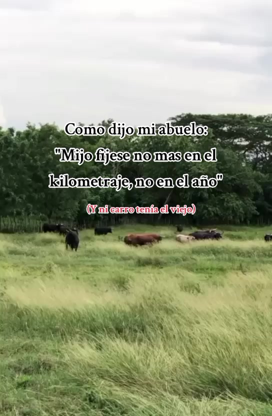 @Juan Meza