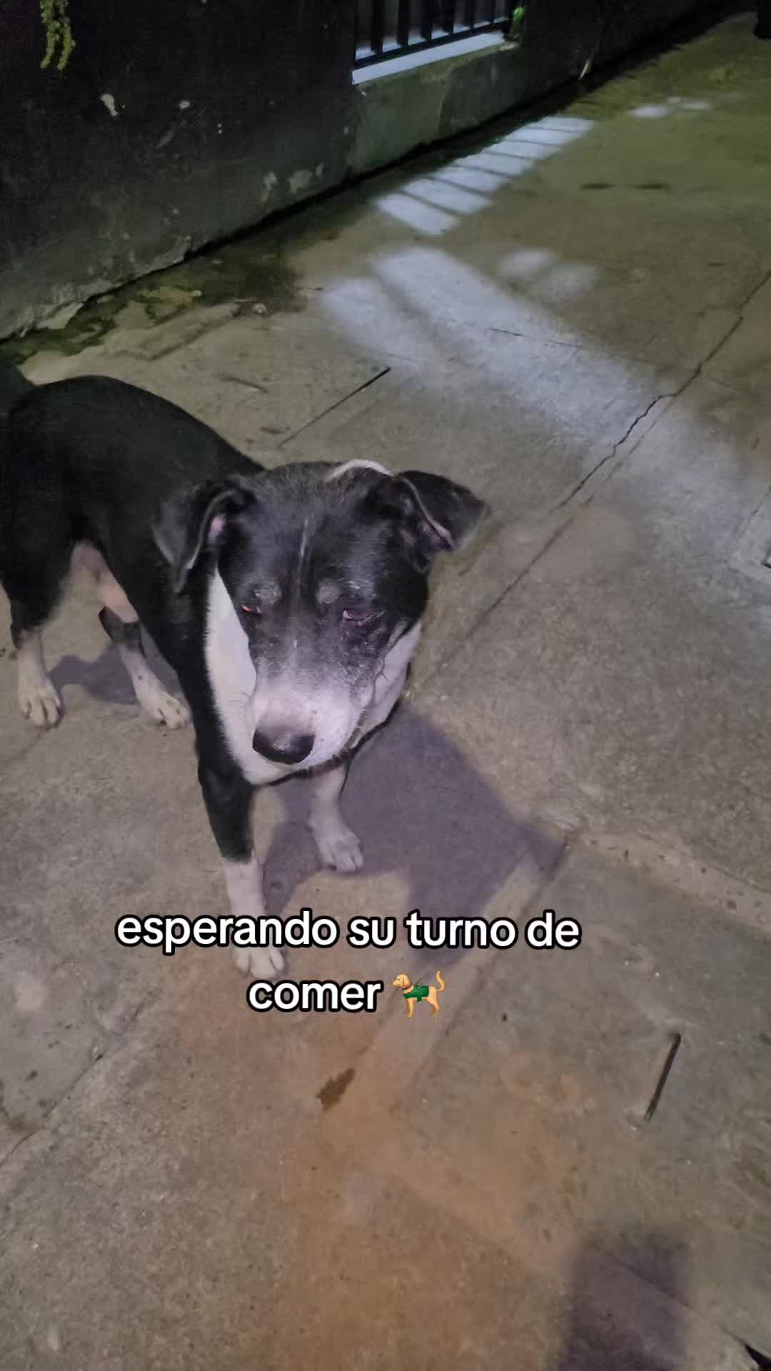 @𝕃𝕚𝕤𝕤 ℝ𝕖yes🇸🇻