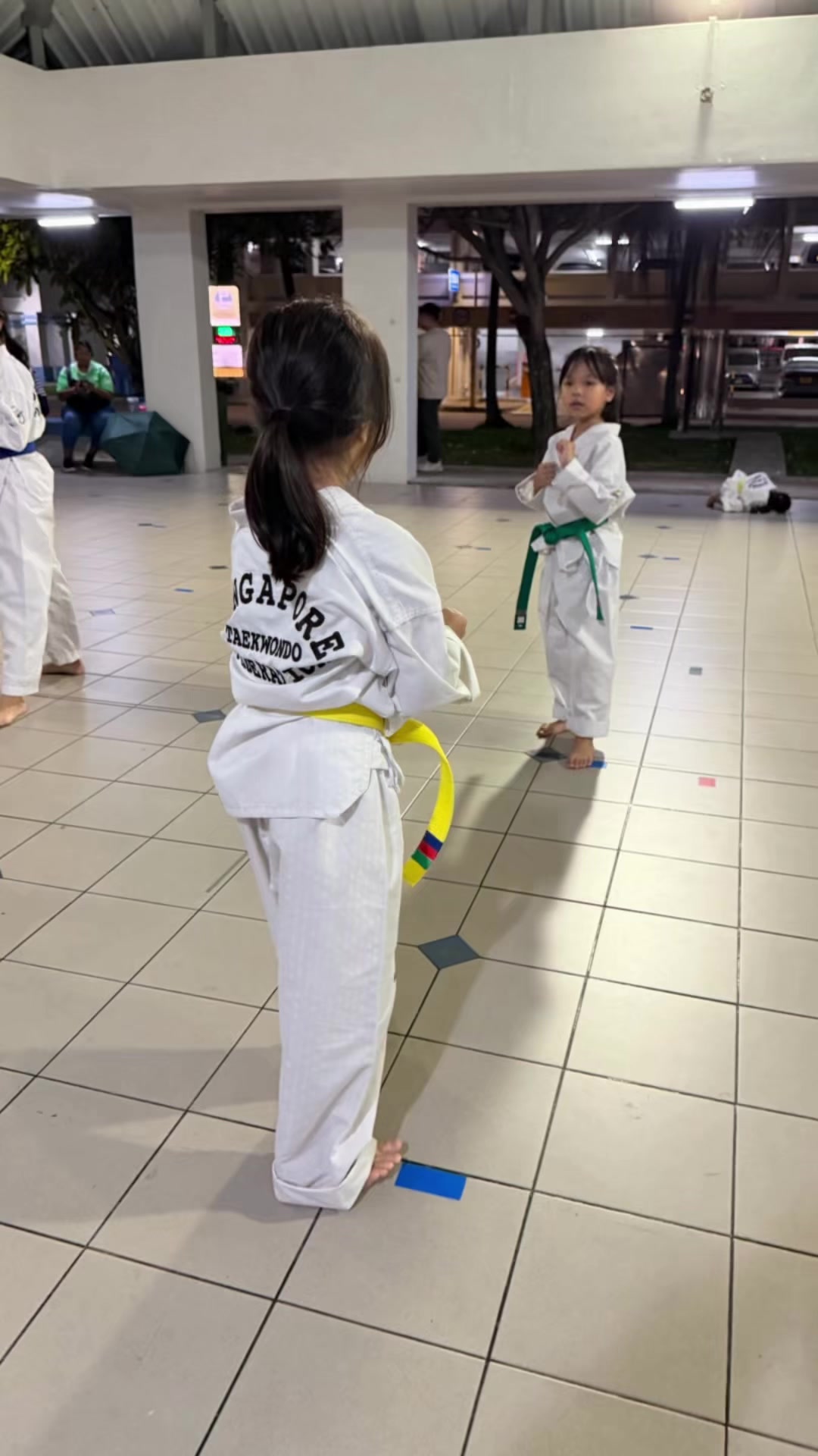 @Aether Taekwondo