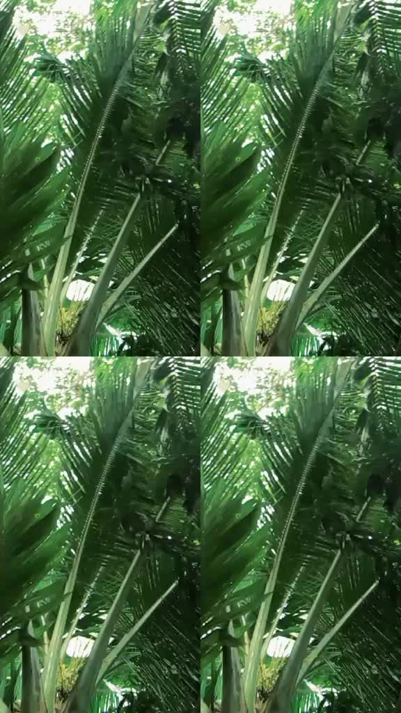 @Md Elias Hossain