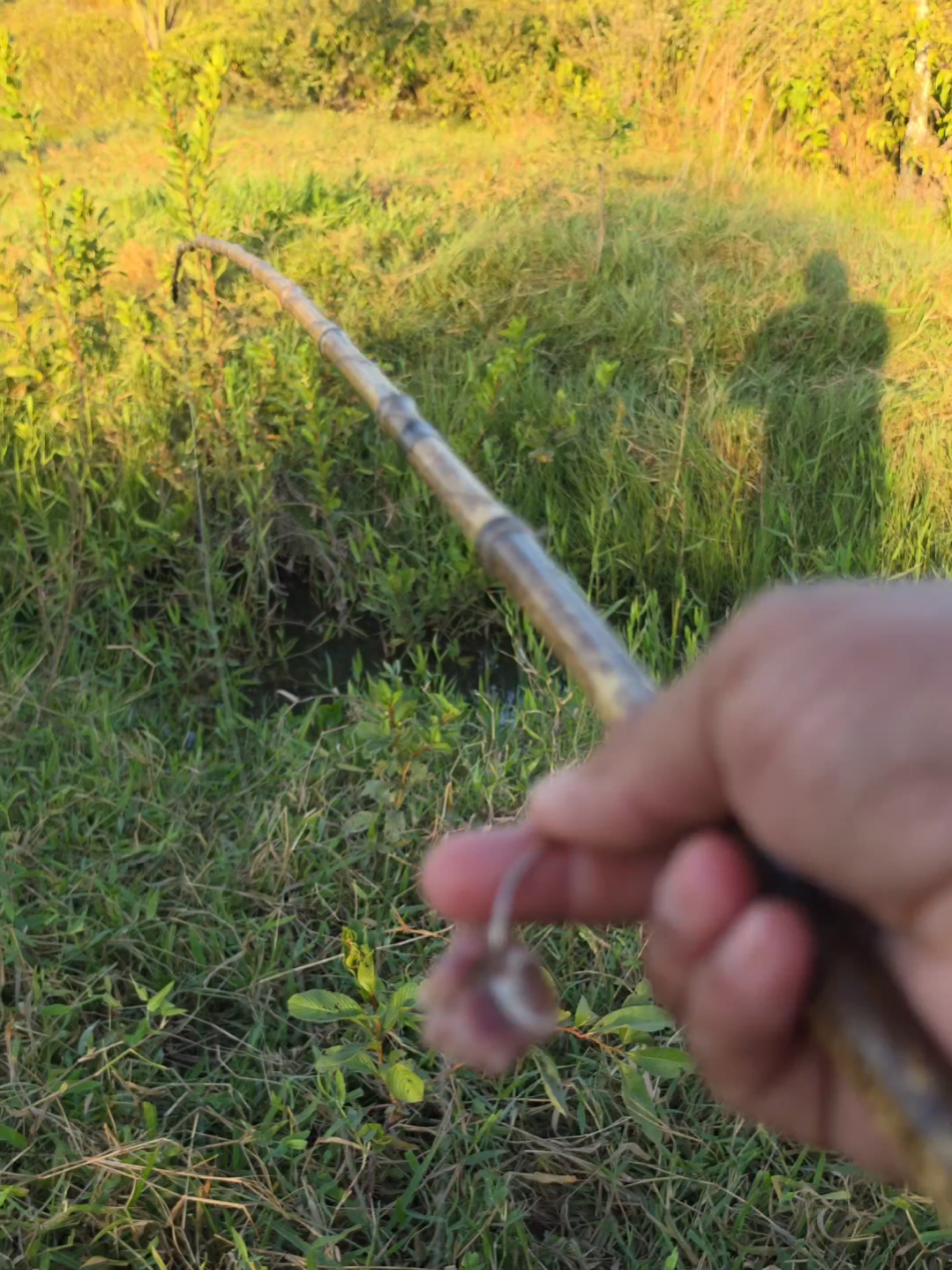 @De Rondônia Para O Mundo