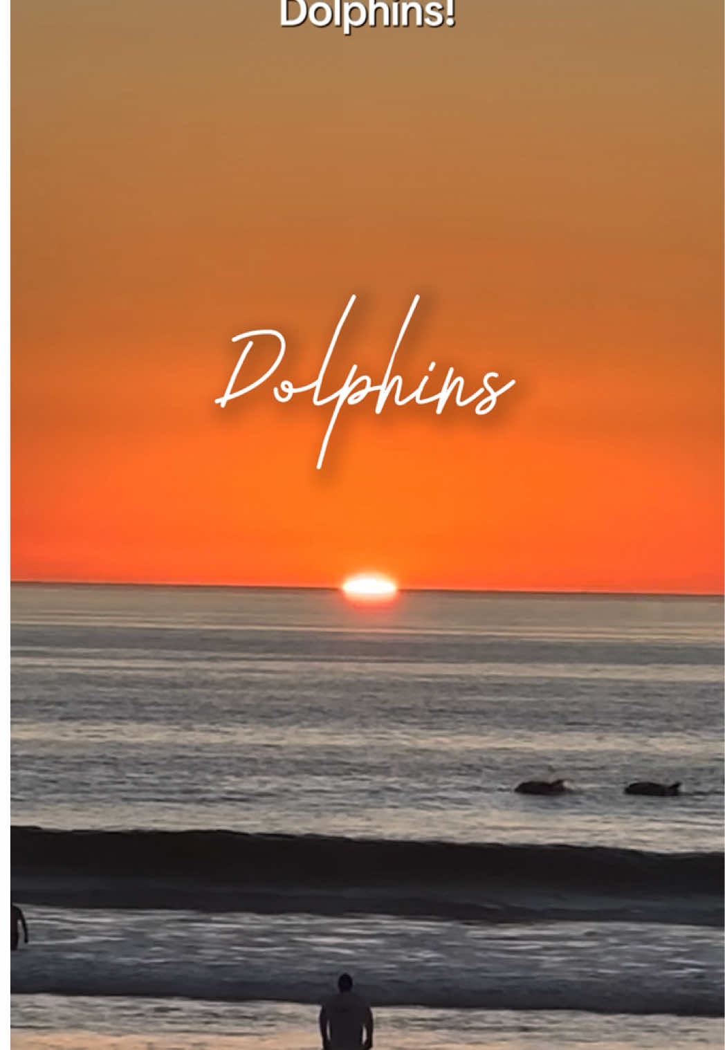 @DM | Photography & Travel 📸✈️