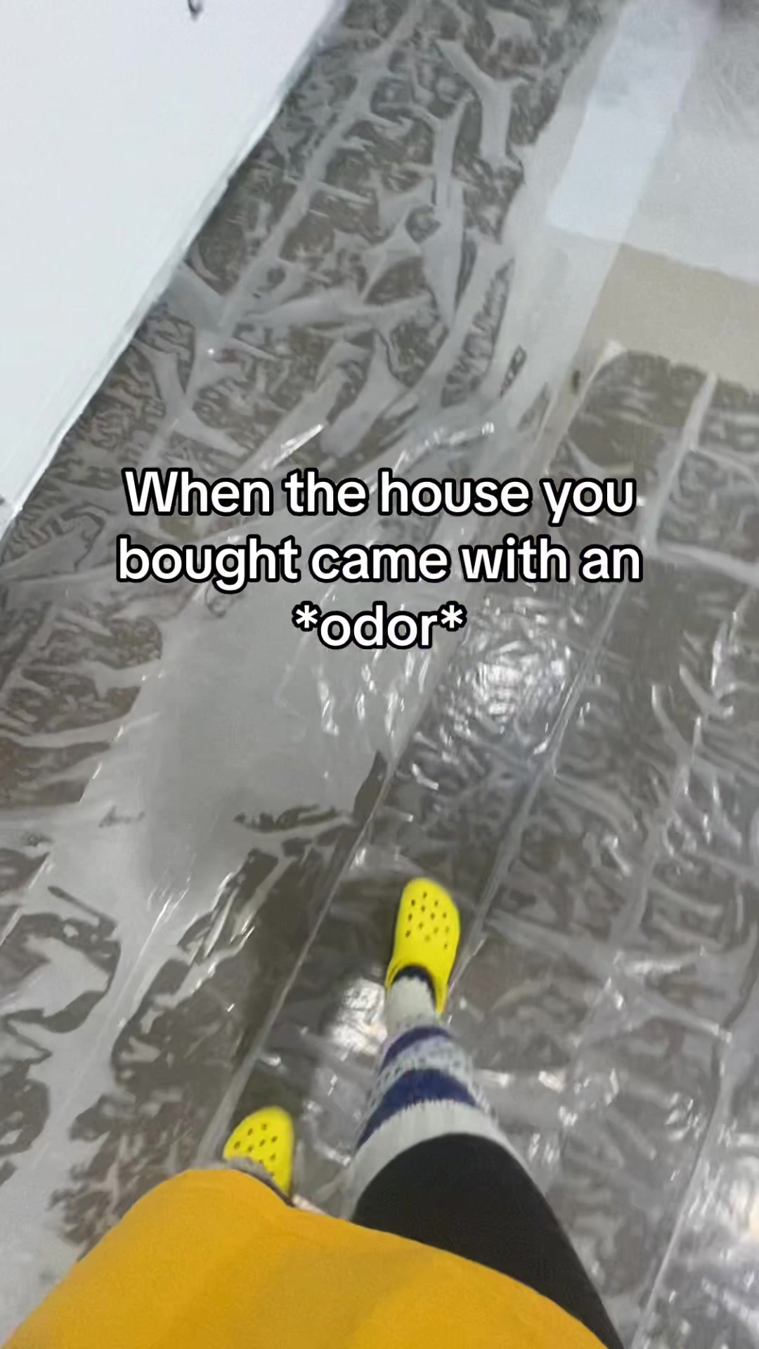 @lauren