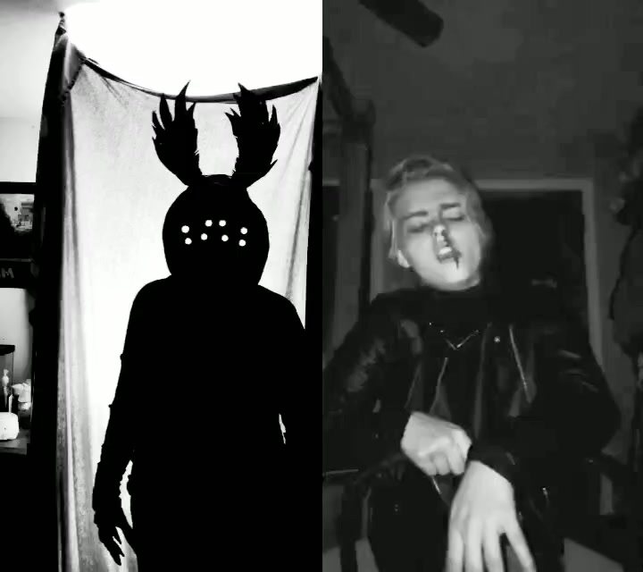 @Felis Tenebris