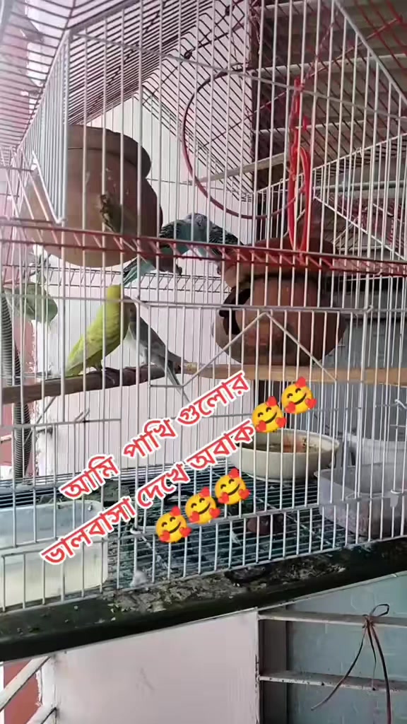 @❤️❤️ফারজানা ইতি❤️❤️
