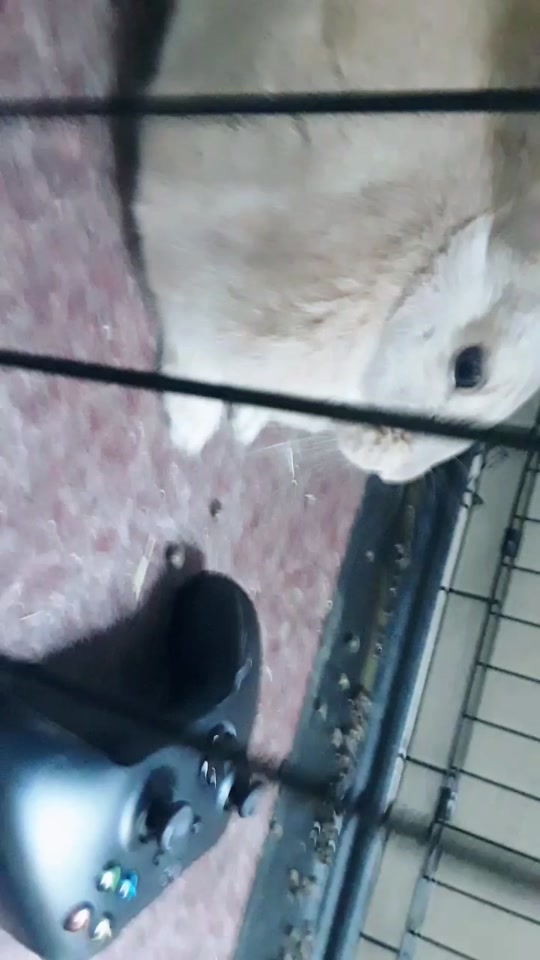 @alexthebeast