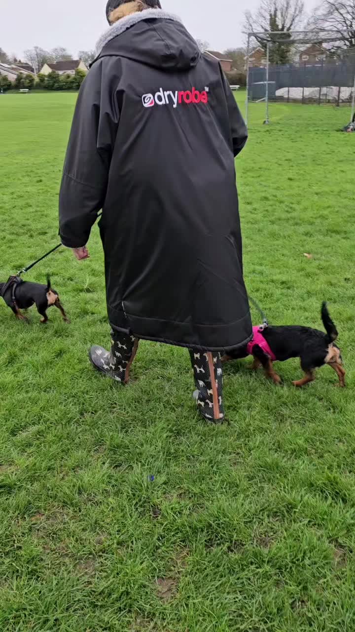 @Paw By Paw Dog Training