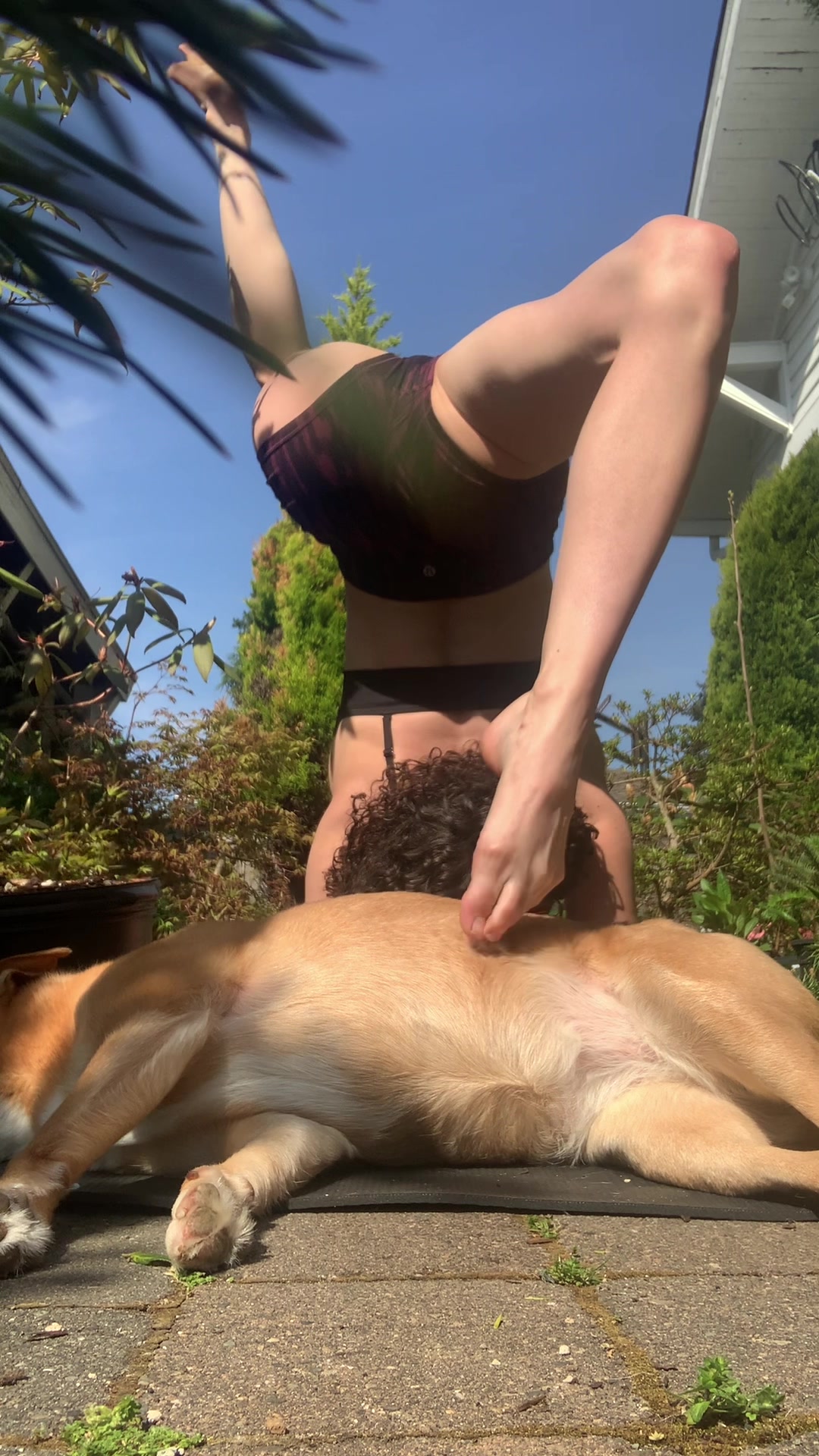 @Soyzilla