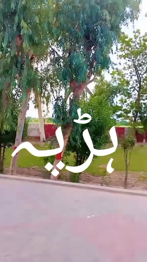 @🦋🦋No LOVE🎀