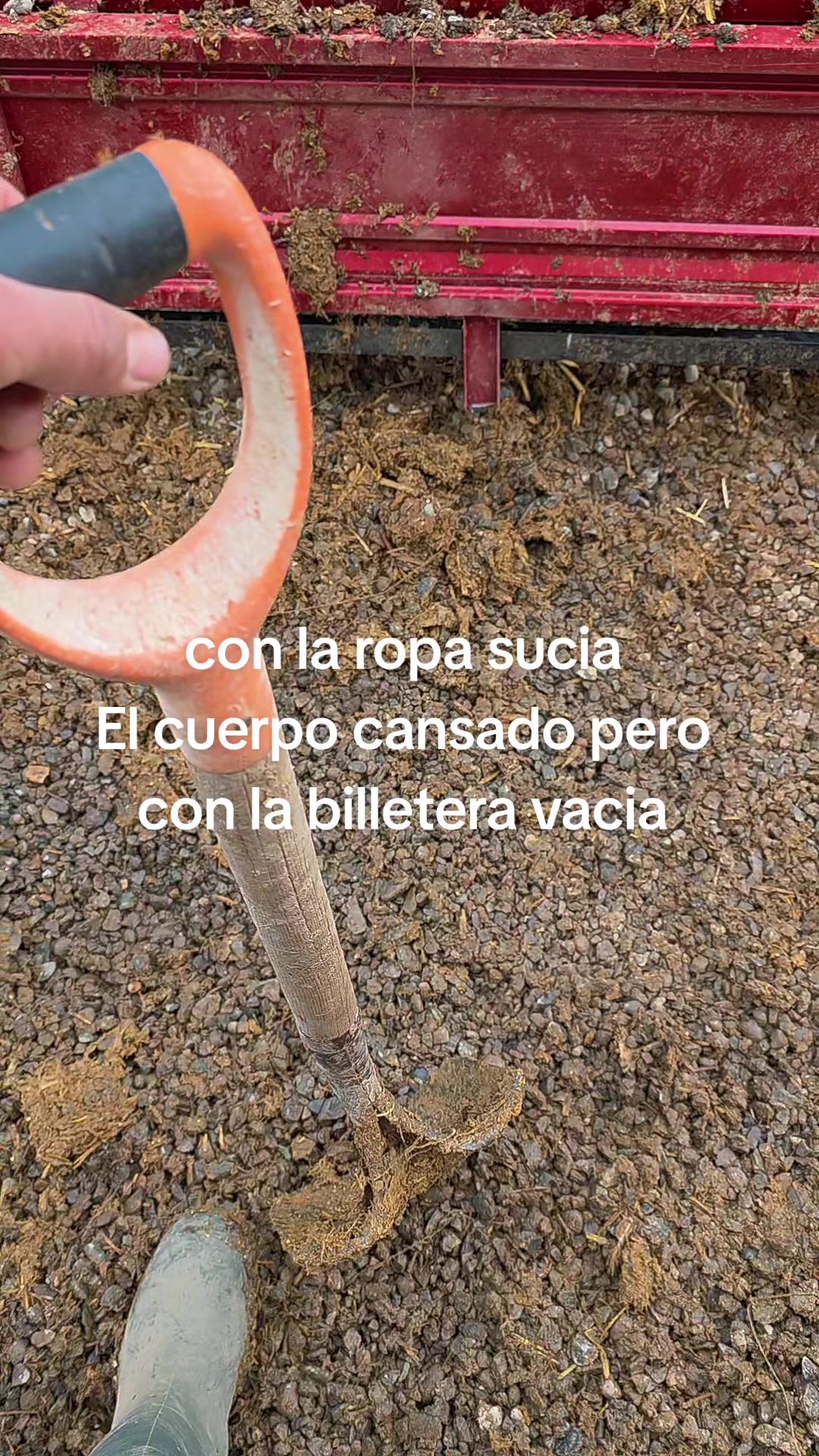 @El Gallinero de Carlos