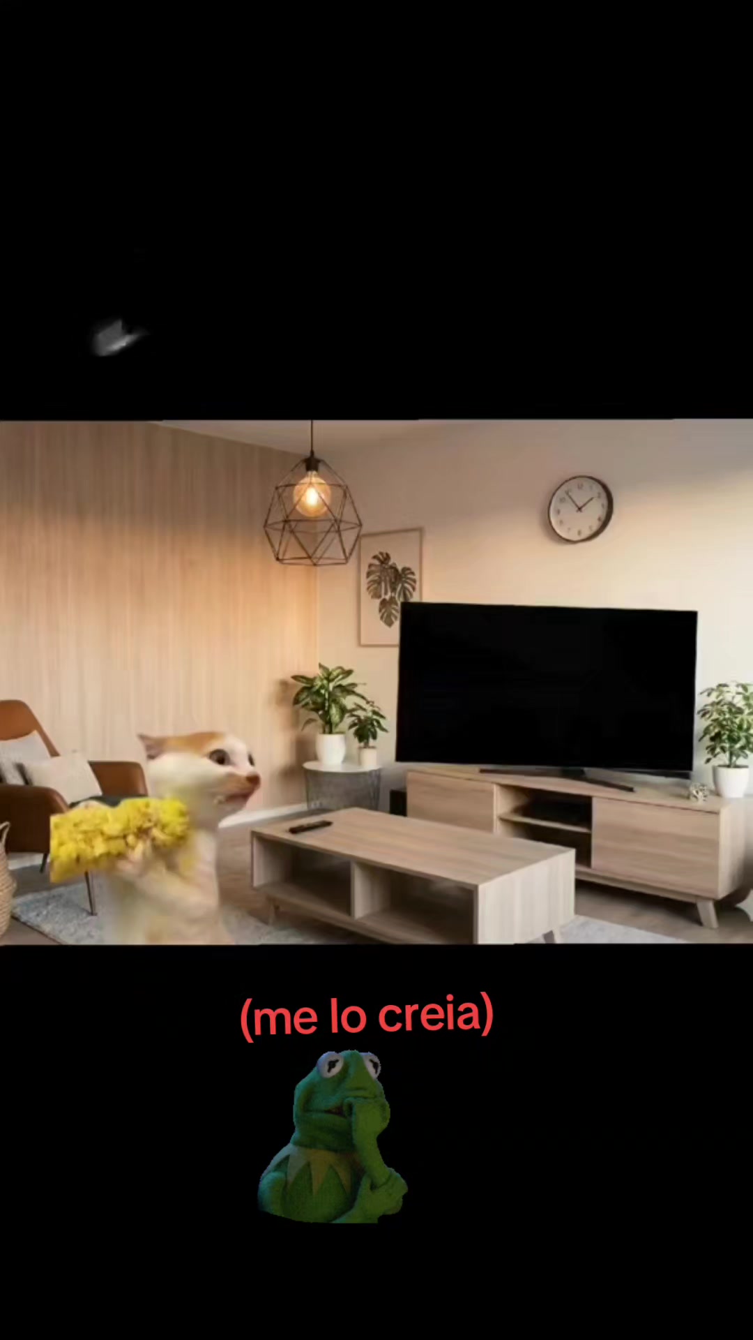 @🥱