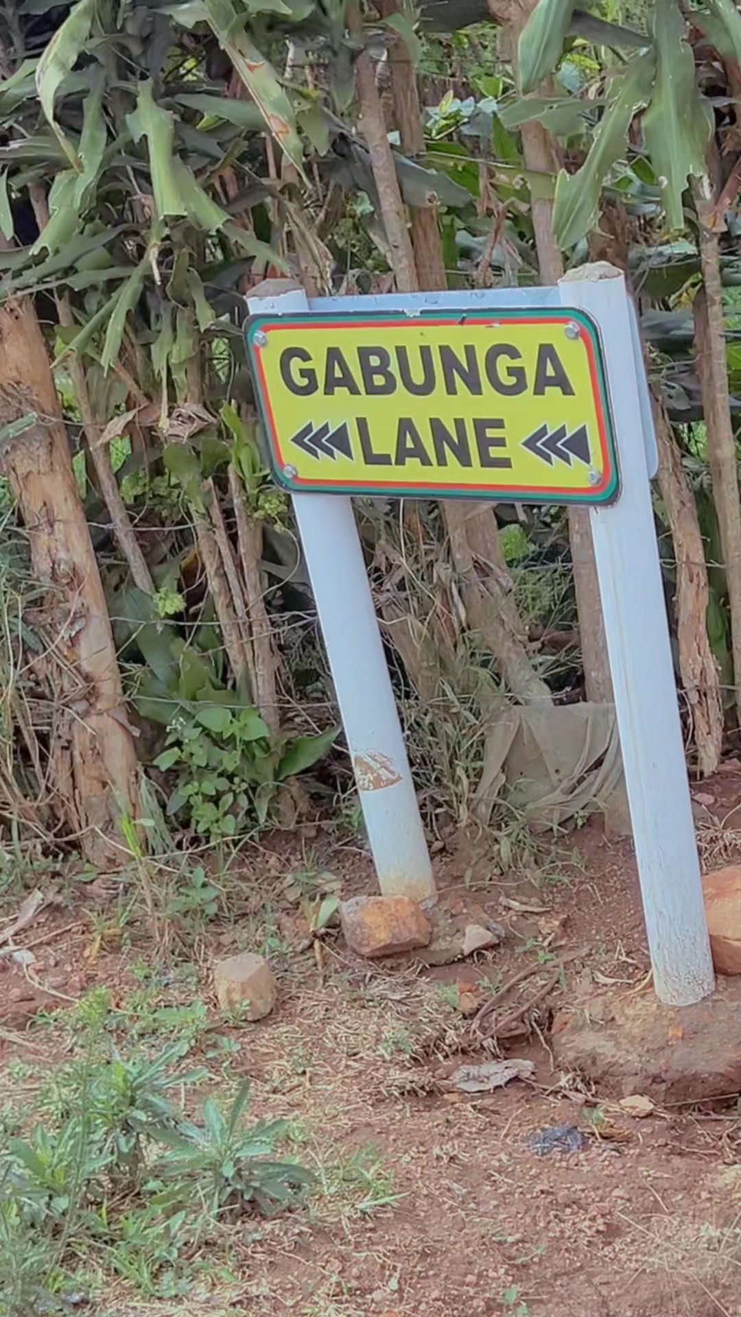 @KUUZA UG