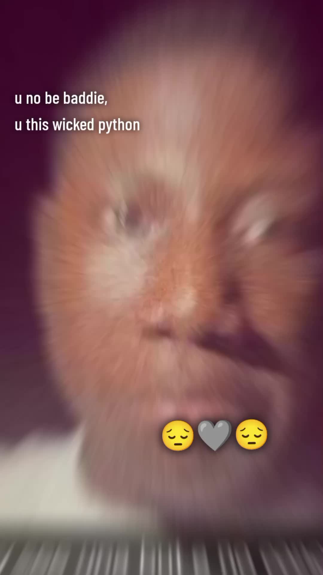 @𝓘𝓝𝓣𝓡𝓞𝓥𝓔𝓡𝓣 𓃵