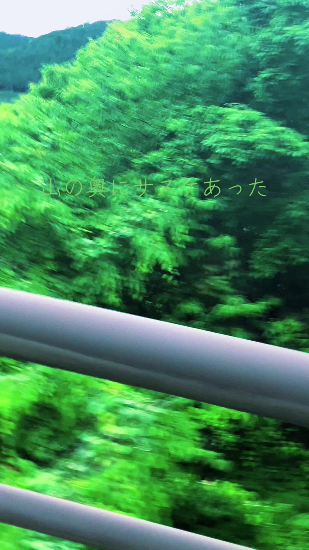 @猫型スネえもん🐳