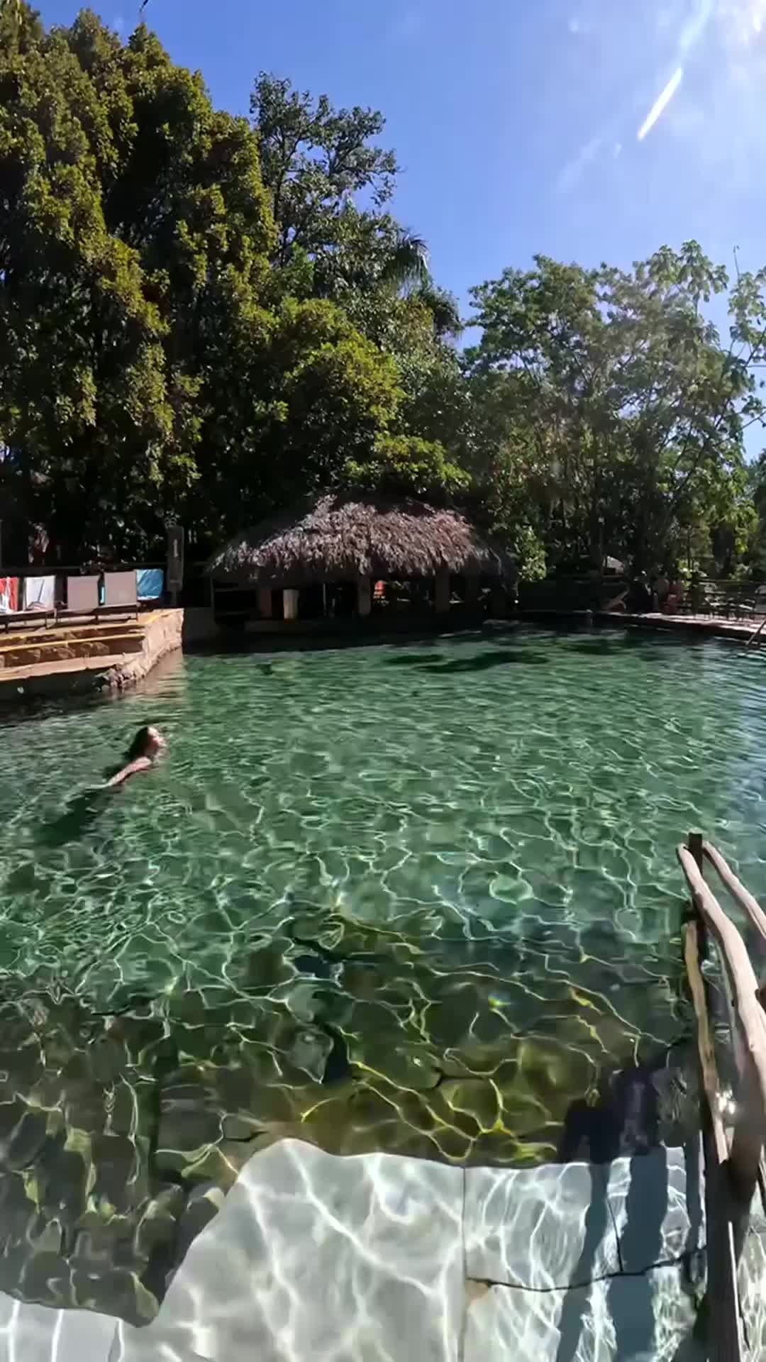 @phmmdung9770