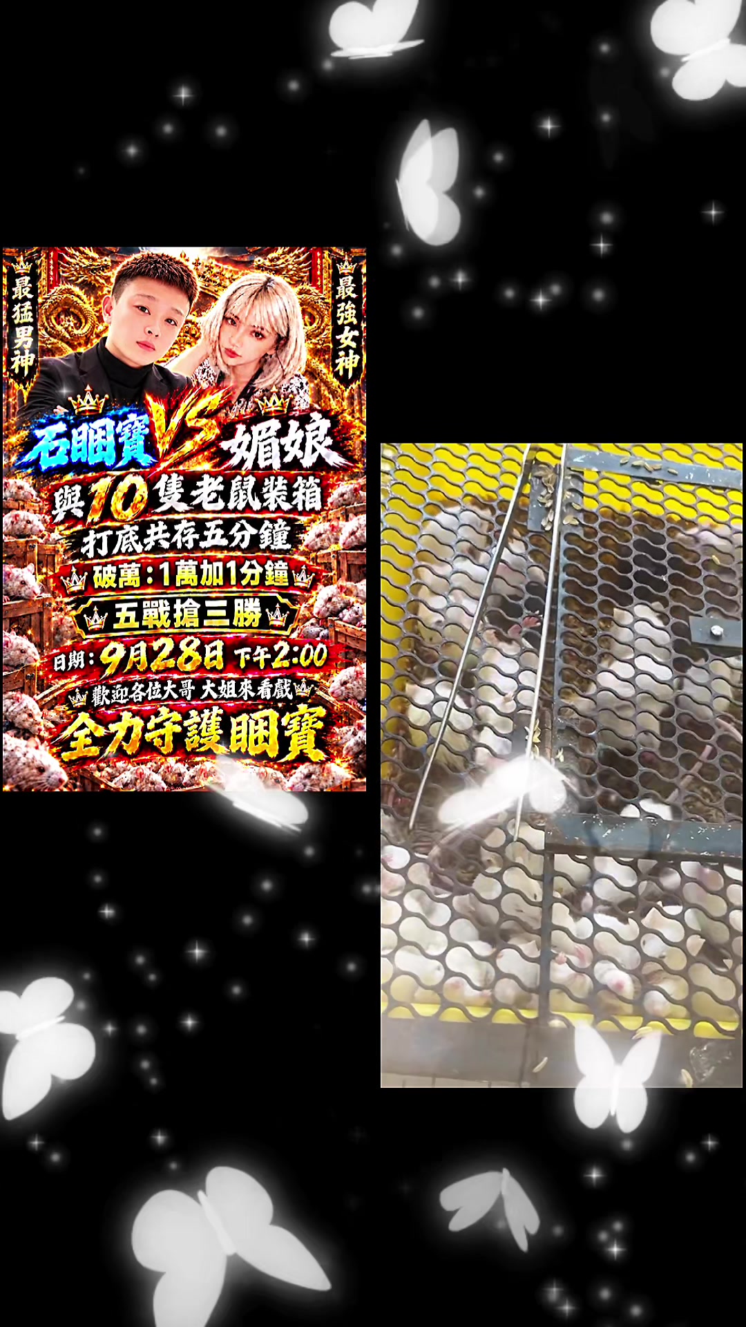 @🥜 LlN 🐩石睏寶