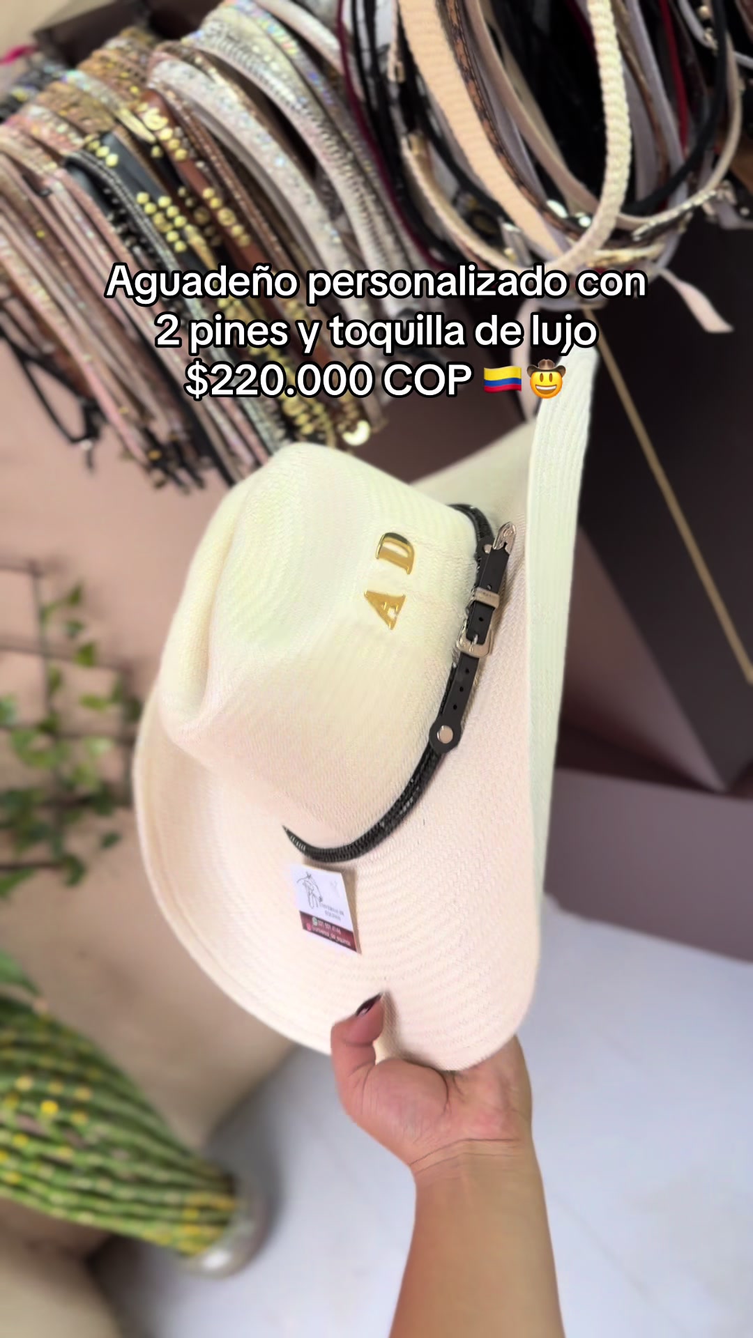 @universal_de_equinos