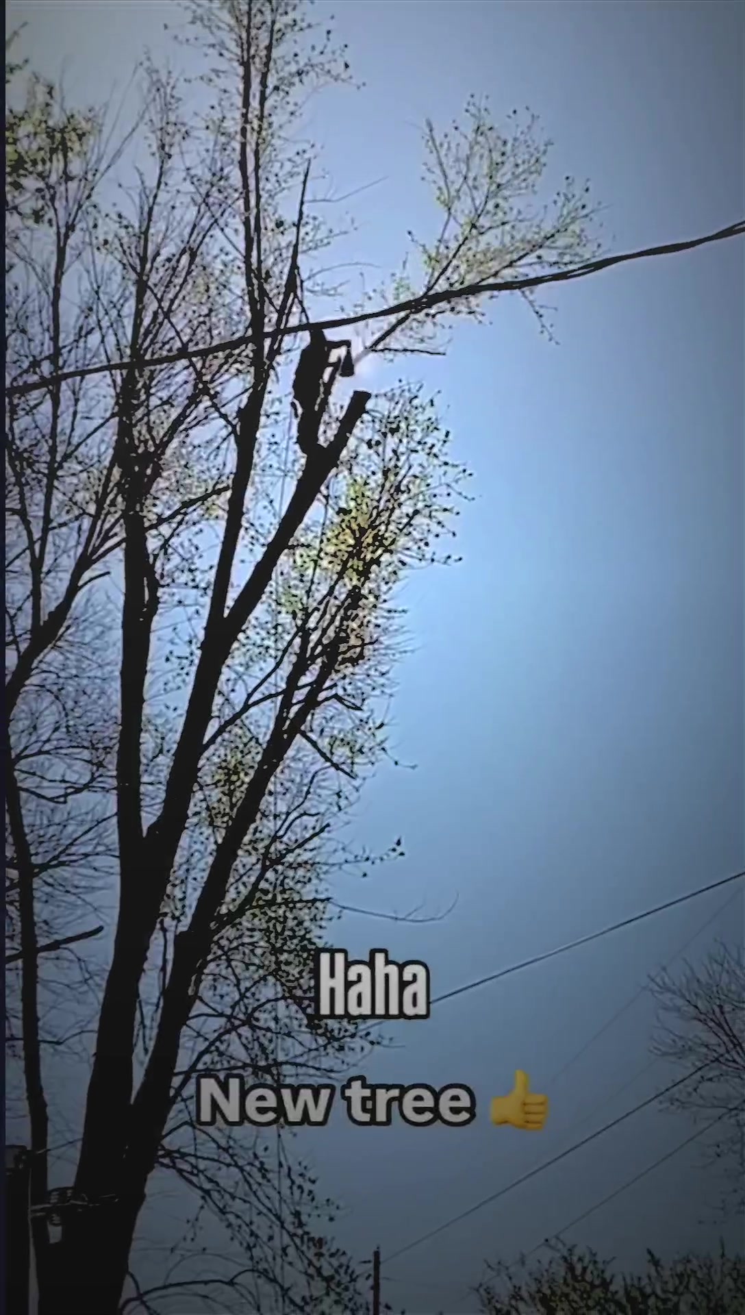 @𝓥𝓪𝓷𝓼𝓸𝔂 𝓮𝓭𝓲𝓽
