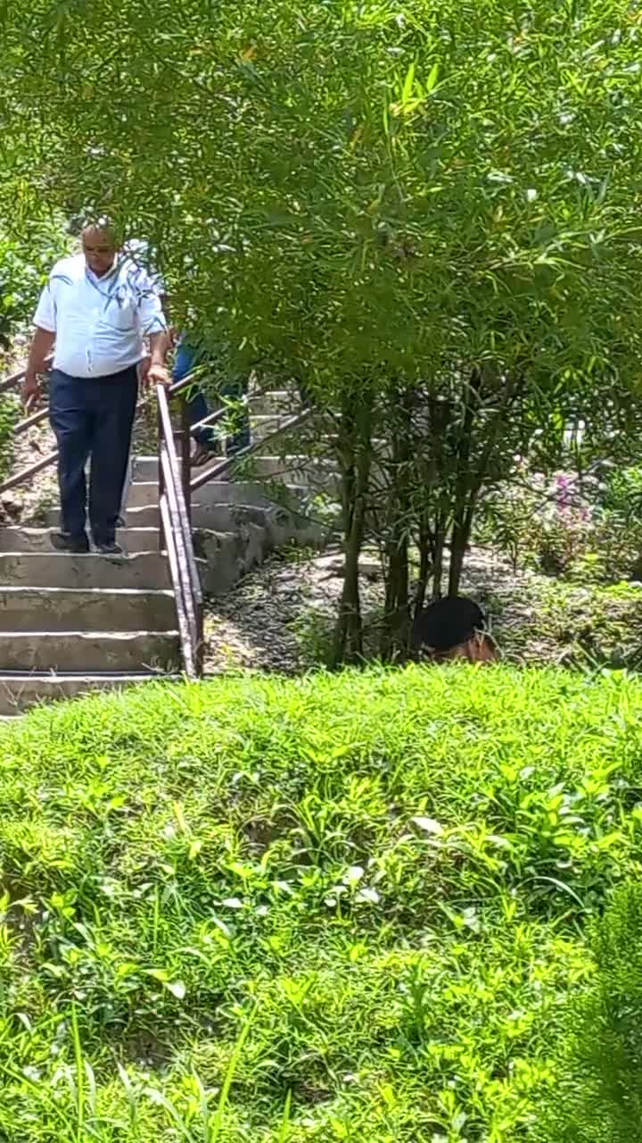 @Sheru@(रेफ्री)