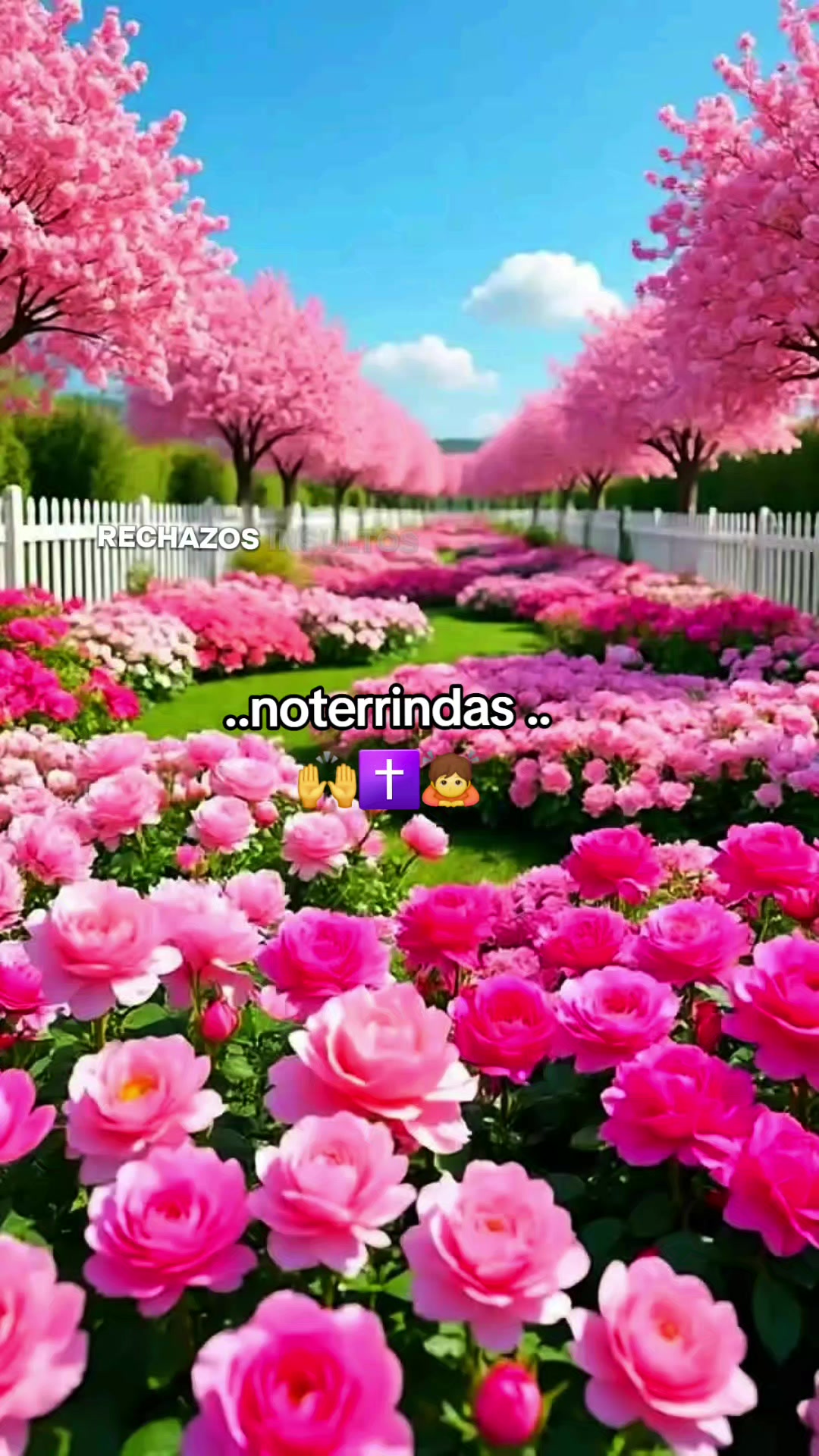 @@ cruz