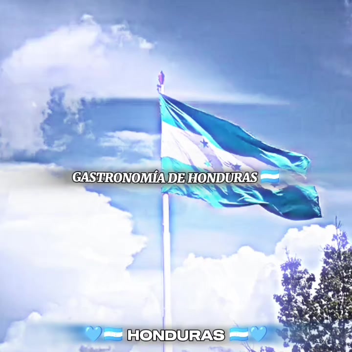@💙🇭🇳 HONDURAS 🇭🇳💙
