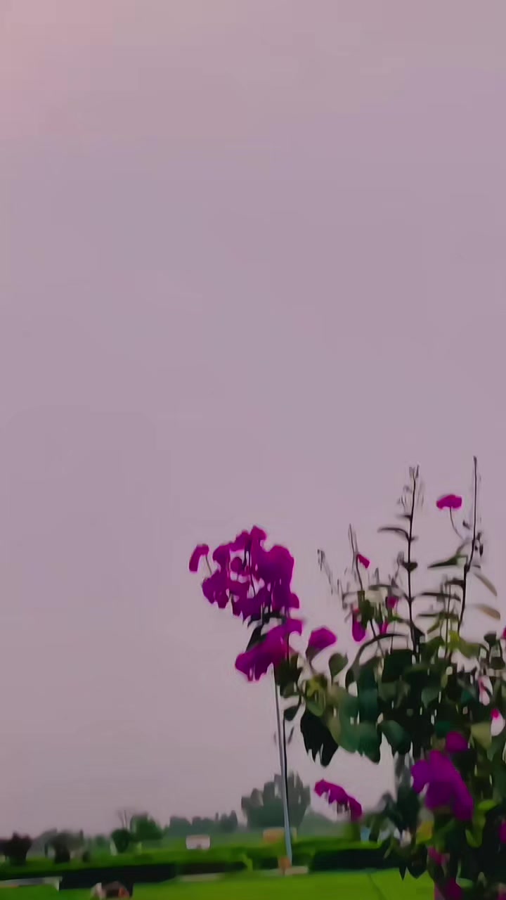 @🦋✨𝐽@𝒉ᾰ𝚗ĝї𝖗✨🦋