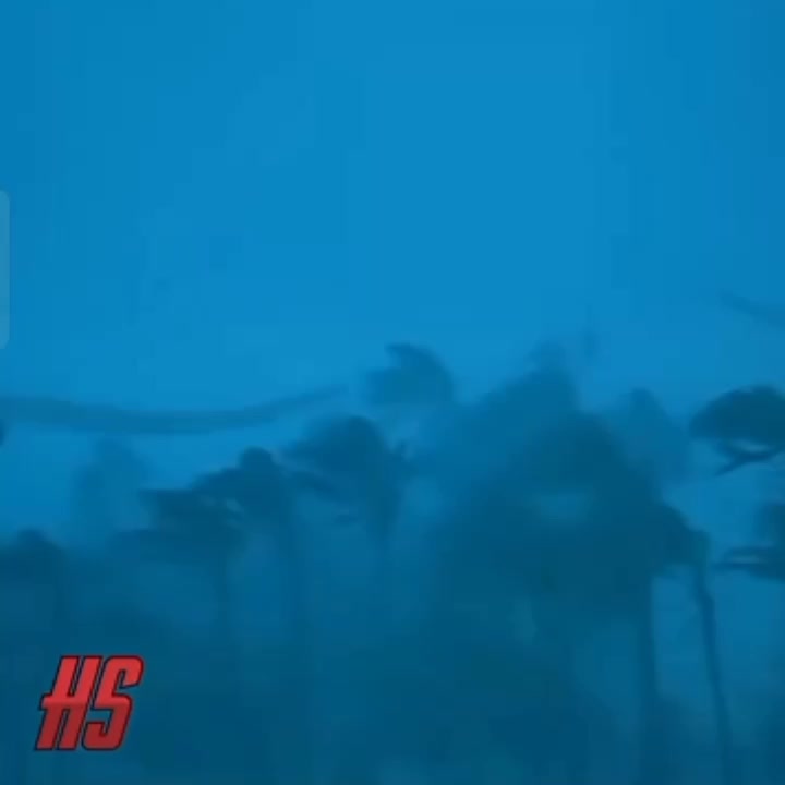 @MR_AXTL_270