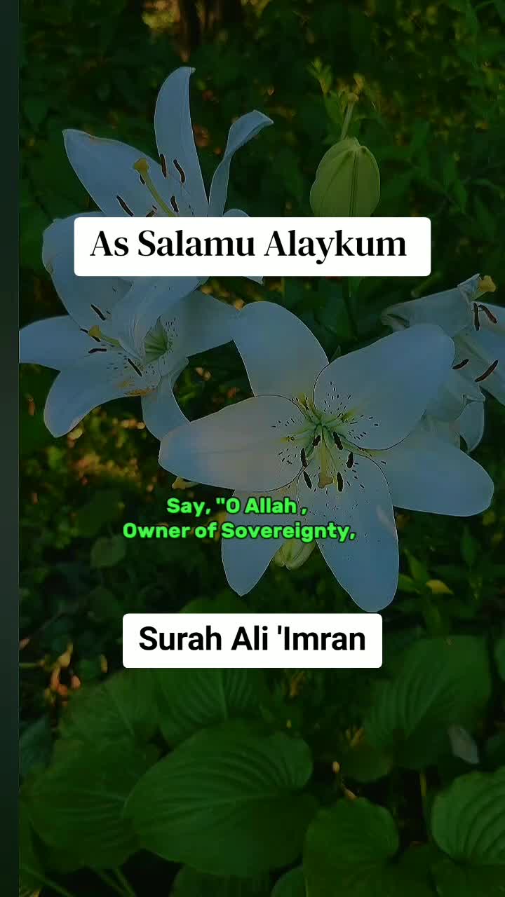 @Halima