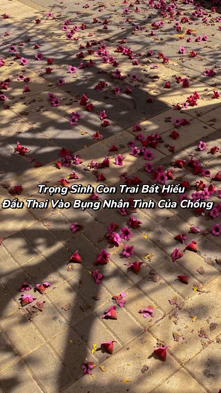 @Bạch Lang Audio🌷