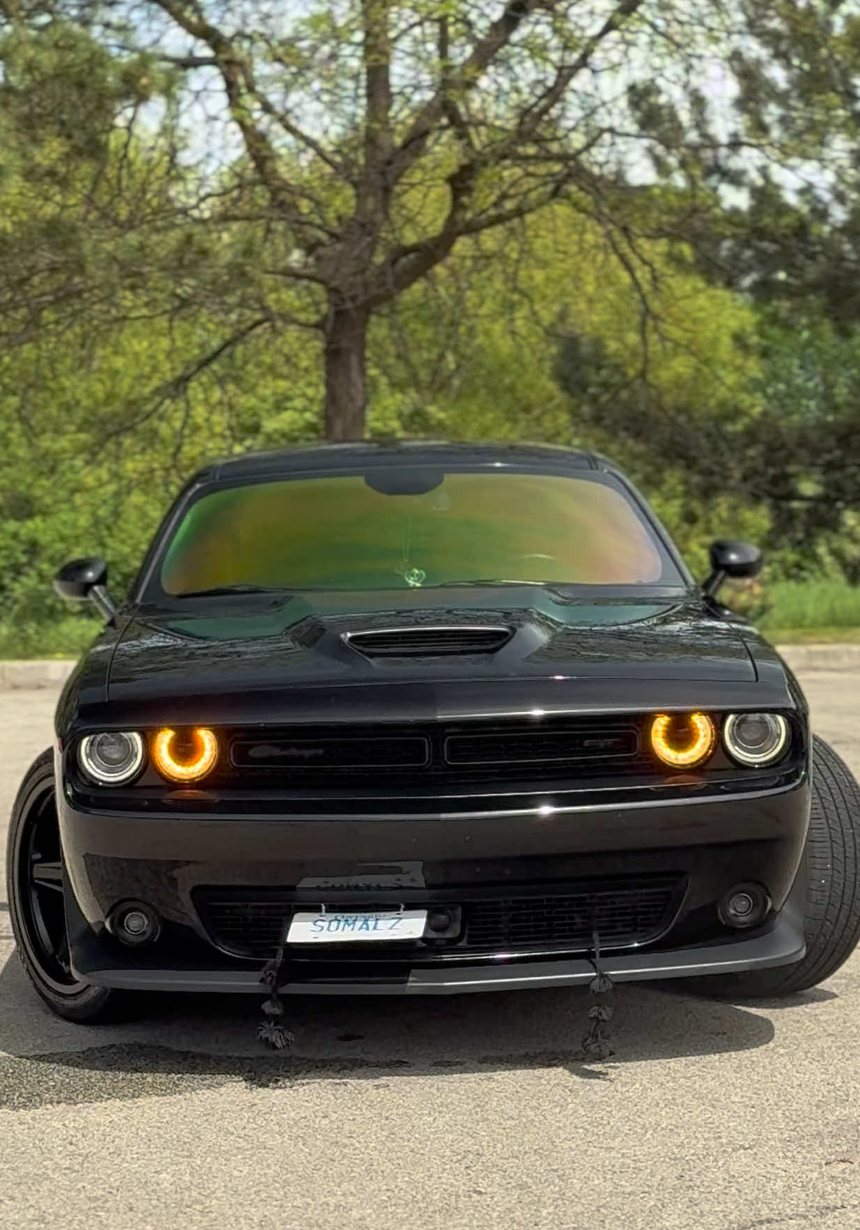 @Mafia_Detailing_Official