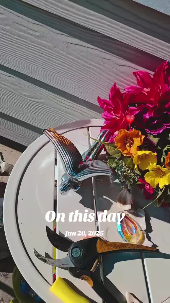 @J.Soto