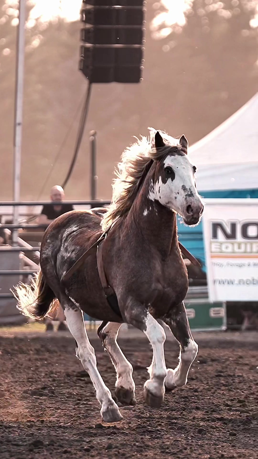 @Hanginghorses