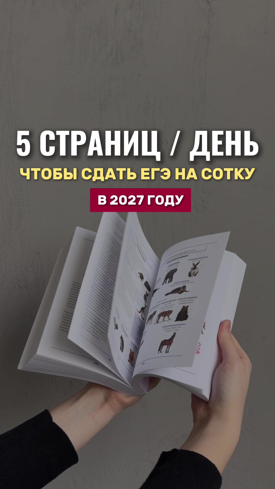 @Алёна Бриз