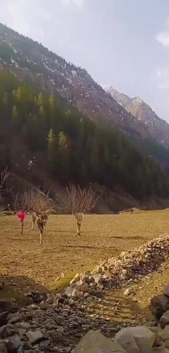 @MADAKLASHT_CHITRAL