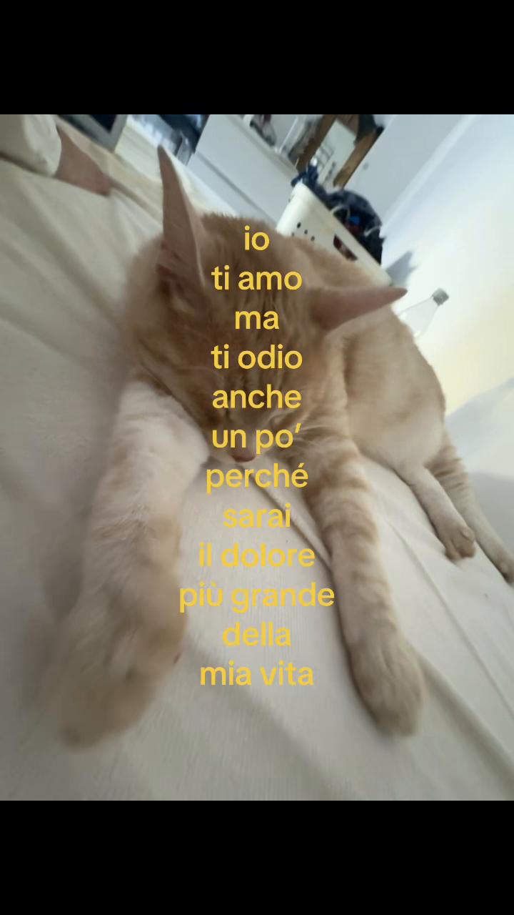 @èmy🎭