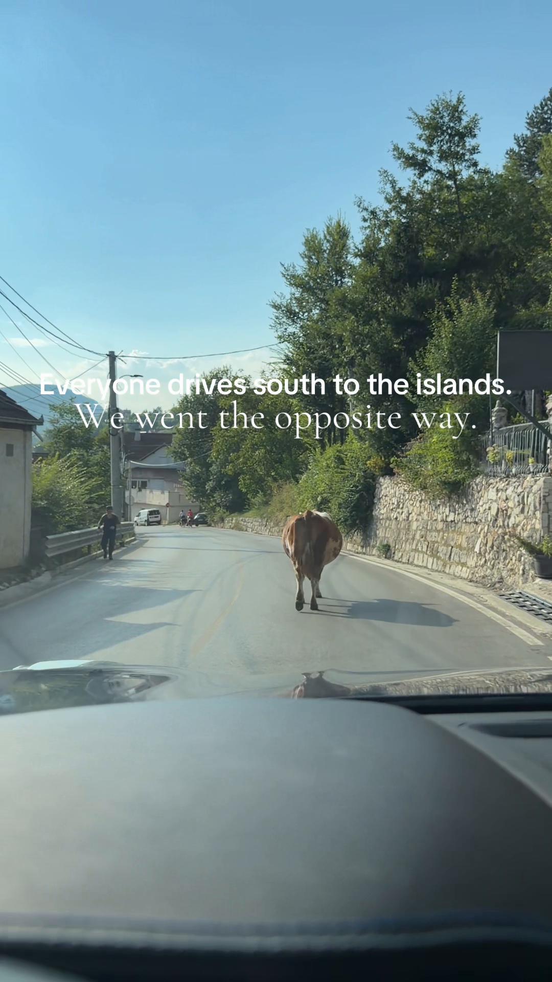 @Whitney 🧿 Your &kappa;&omicron;&nu;έ in Greece