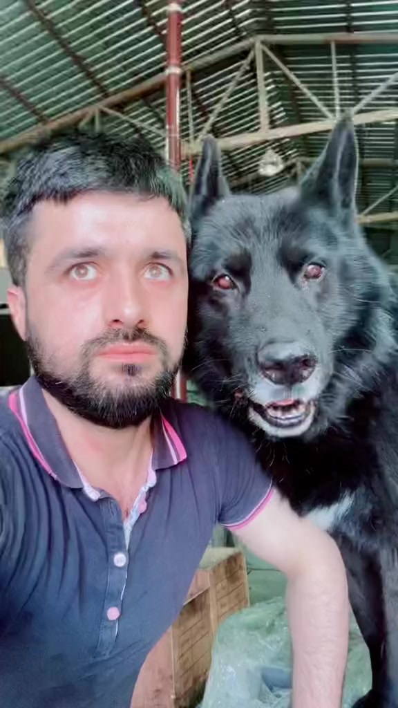 @Serkan