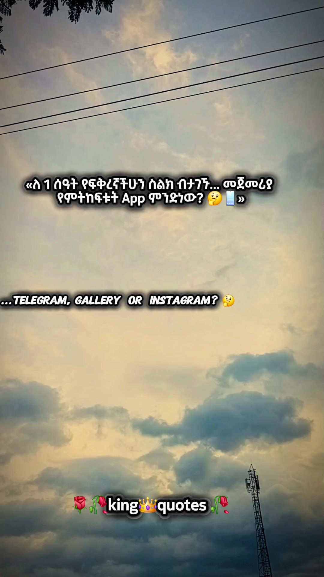 @🌹🌾king👑 quote's 🥀🥀